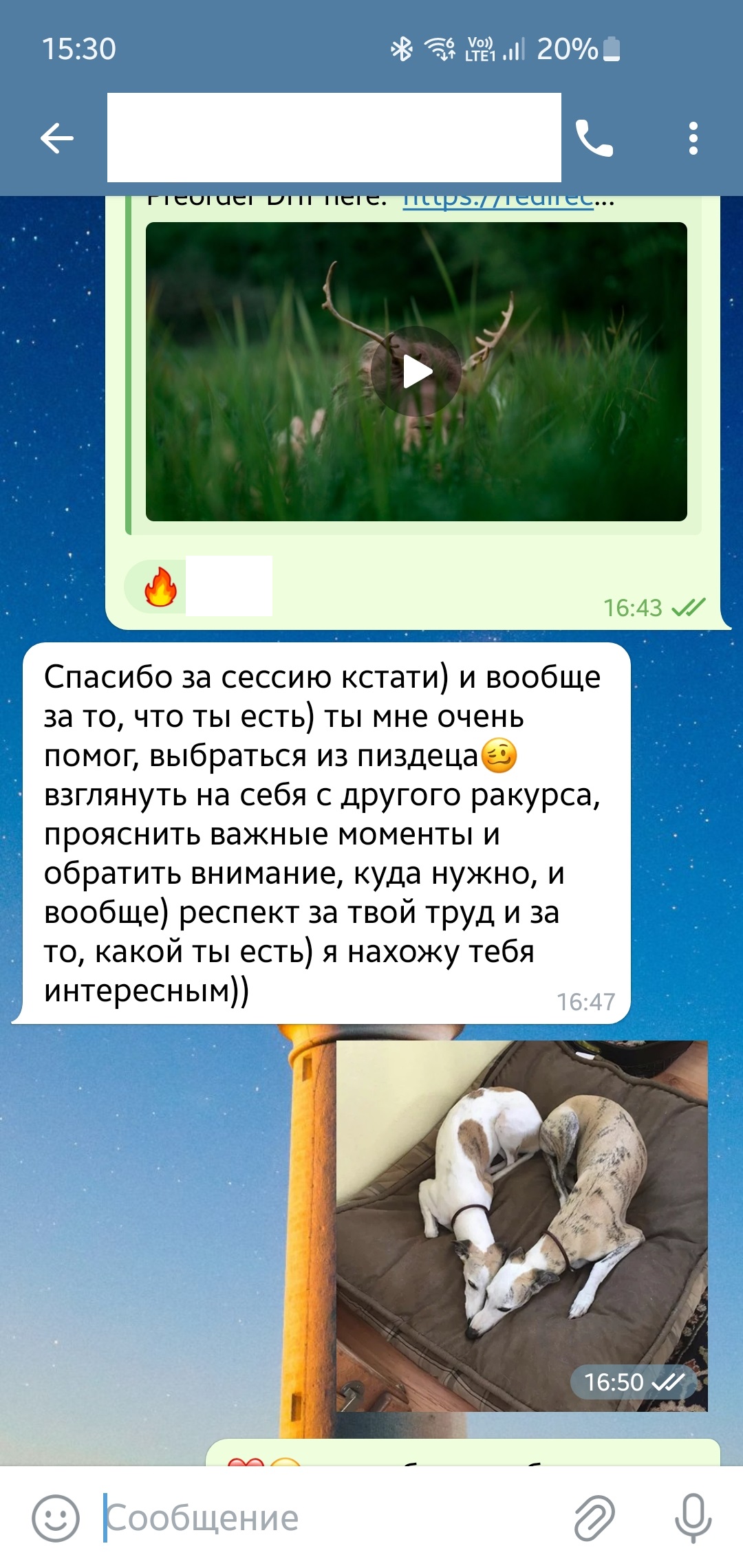foto